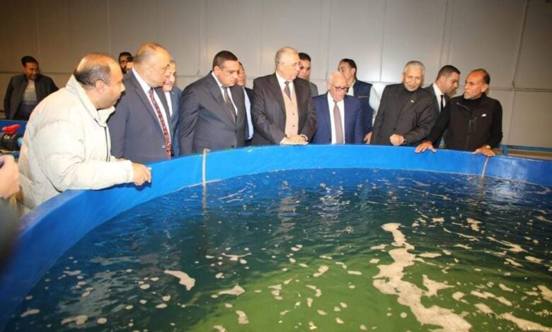 وزيرا الزراعة والتنمية المحلية ومحافظ بورسعيد يتفقدون مفارخ الأسماك ببورسعيد