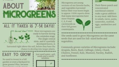 الخضر الميكروجرين