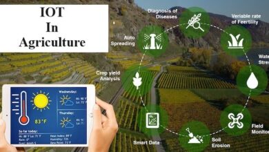 النمو المتفجر