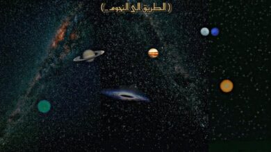 إلى عنان السماء... يصل لها عبدالرشيد حامد من ذوي الهمم