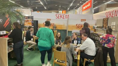 حلمى ابو العيش