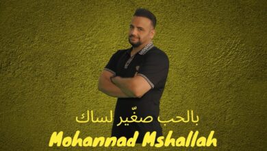 مهنّد مشلّح