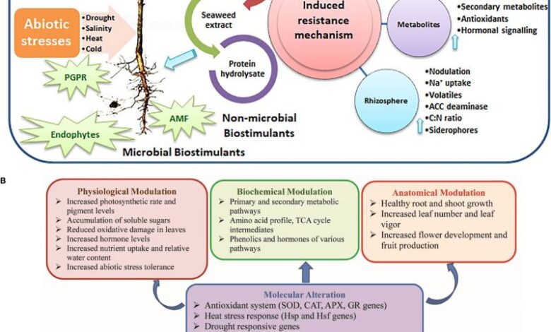 المنشطات الحيوية