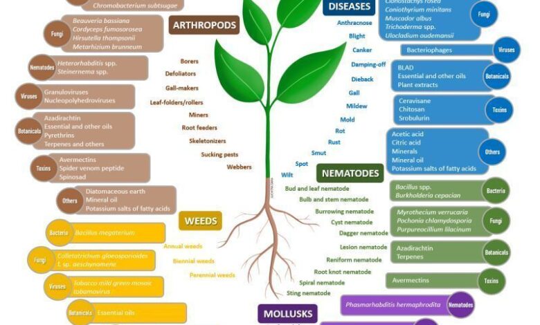 دليل كامل ل "المبيدات الحيوية