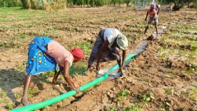 تعزيز الأمن الغذائي والدخل للمزارعين أصحاب الحيازات الصغيرة في أنجولا