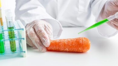 الدليل النهائي لاختبار سلامة الأغذية