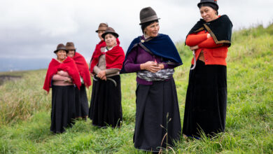 مبادرة لإنقاذ غابات الأنديز