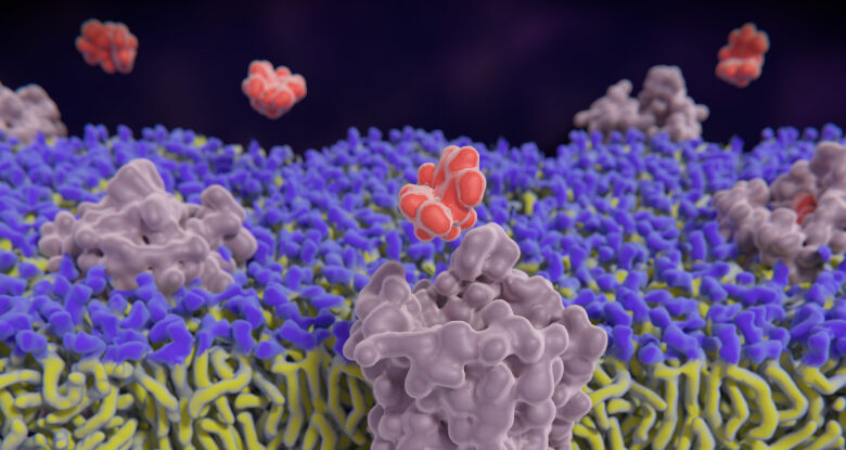 مراقبة المواد الأفيونية في الوقت الحقيقي وهي تعمل بعمق داخل المخ