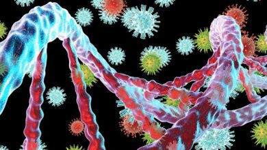 أعطت الفيروسات القديمة أسلافنا فرصة للتطور