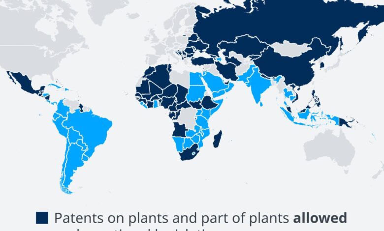 براءات الاختراع