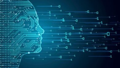 الفجوة الرقمية