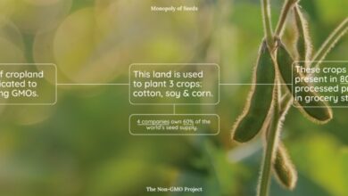 سحر البذور واحتكارها