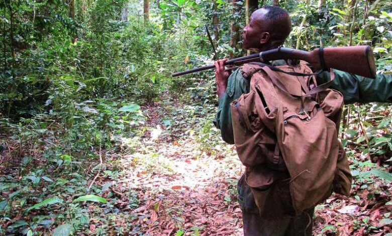 دراسة مبتكرة