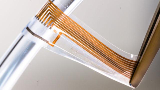 يقوم الباحثون