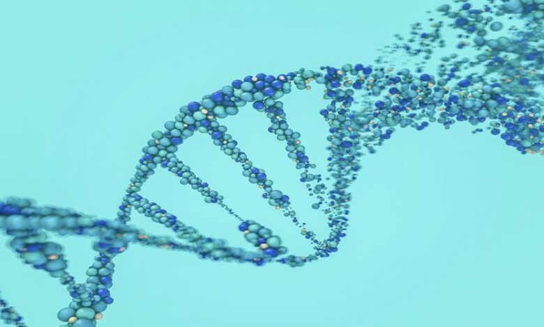 واجهت المجر