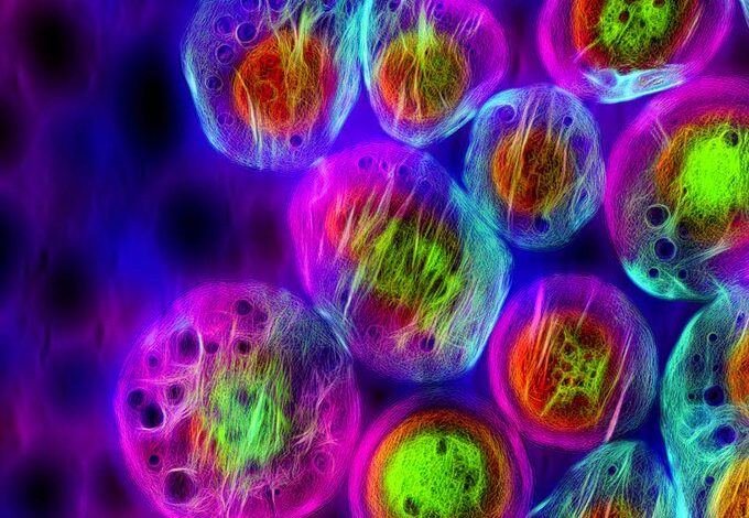 سؤال في علم الأحياء الاصطناعي