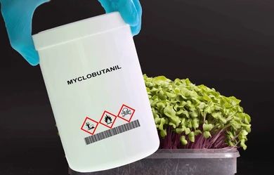 ماذا تعرف عن ميكلوبوتانيل؟