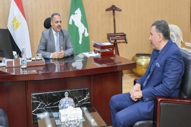 محافظ الشرقية: دعم شبكة الكهرباء بمحولات جديدة ولوحات توزيع