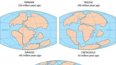 قارات العالم كانت متلاصقة ثم انجرفت