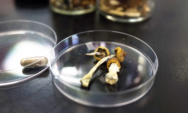 دراسة تشير إلى أن السيلوسايبين يعيد “توصيل” الدماغ لكسر دوائر الاكتئاب