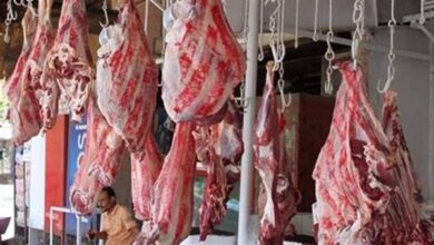 الزراعة تنفي شائعات فساد اللحوم الحمراء.. حملات رقابية مكثفة ونصائح للمستهلكين