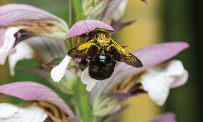 محافظ الأقصر يدشن مبادرة بالتعاون مع صندوق مكافحة الإدمان لرفع الوعي ومواجهة التعاطي