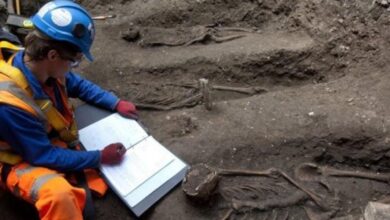 اكتشاف هياكل عظمية لضحايا الطاعون قرب برج لندن