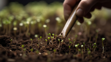 العباءة الذكية: حين تكتسي البذرة حلَّة التكنولوجيا لتنقذ مستقبل الغذاء