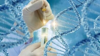 مشروع 'الجينوم الذهبي': كيف تستعد مصر لتصبح مصدراً عالمياً للأدوية المستخلصة من نباتاتها الفريدة؟