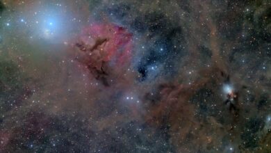 غبار النجوم في العقول: هل فقدت الإنسانية بوصلة الثقافة العلمية؟