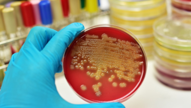 زراعة البراز: ثورة ميكروبية في عالم علاج السرطان