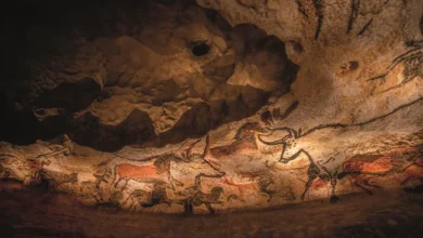 رحلة العقل المصري من كهوف ما قبل التاريخ إلى محطة الفضاء