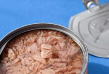 طعام مفيد أم خطر صامت؟ الحقيقة الكاملة وراء التونة المعلبة