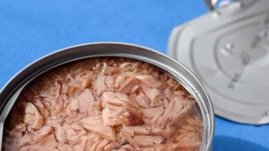 طعام مفيد أم خطر صامت؟ الحقيقة الكاملة وراء التونة المعلبة