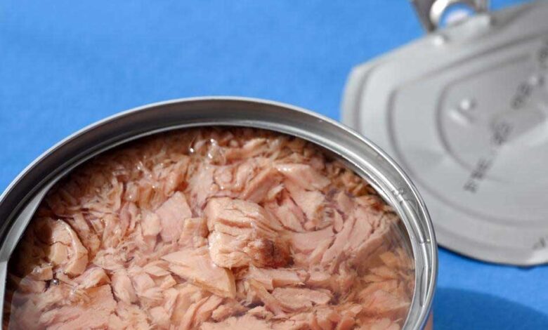 طعام مفيد أم خطر صامت؟ الحقيقة الكاملة وراء التونة المعلبة