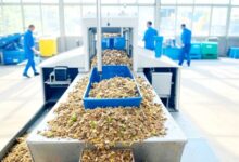 من قرية مهملة إلى مختبر حيوي.. كيف تحول المخلفات إلى ثروة وطاقة وغذاء؟