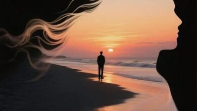 شفرة العبور